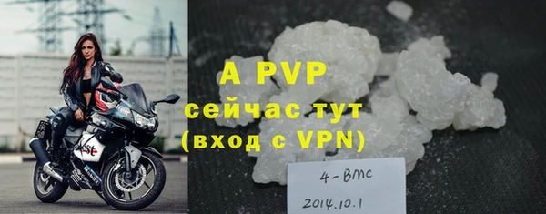 гидра Арсеньев