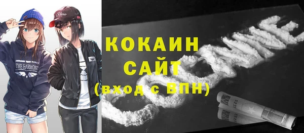 гидра Арсеньев