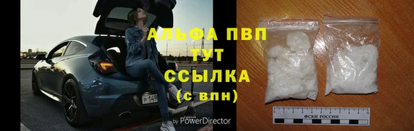 гидра Арсеньев