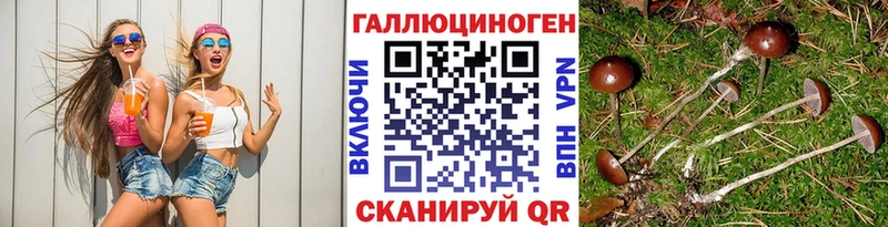 Галлюциногенные грибы Magic Shrooms  дарнет шоп  Бологое 